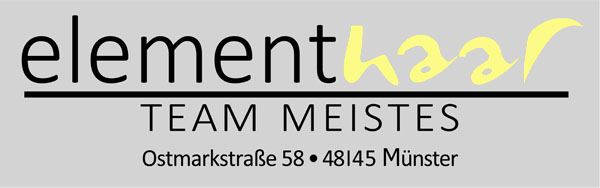 Meistes Logo